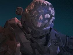 emile halo reach face