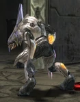 A Sangheili High Councilor shown from behind.