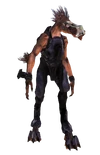 JackalSniper