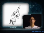 A sketch of the Keel Bug.