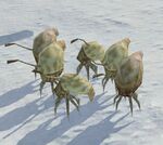 A group of Infection Forms in Halo Wars