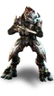 Storm Zealot