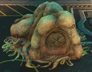 A Flood Den manifesting itself on-board of the Spirit of Fire.