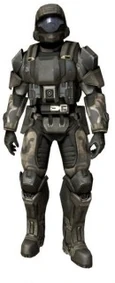 Odst bdu