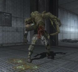 Infected20Human.jpg