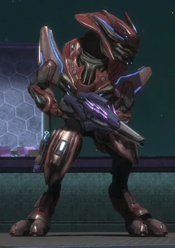 Sangheili Zelot