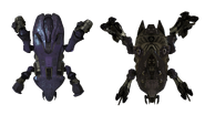 Perspektiven des Scarabs
