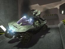 Warthog.jpg