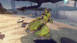 H5G Warzone Luk