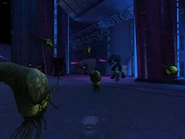 Vainas de Infección Flood dentro del nivel