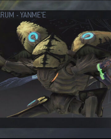 ドローン Halopedia Fandom ドローン Halopedia Fandom