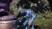 Un Sangheili Menor en Halo 2: Anniversary