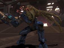 ELITE COMBAT FORM IN HALO 3 by victortky