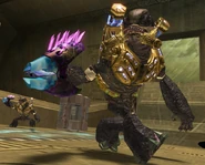 Ketzer-Grunt.