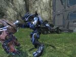 A player-controlled Field Marshal striking down a player-controlled Ultra Sangheili.