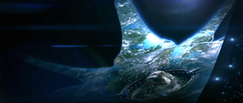 ArcaMenor