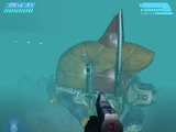 Three Dead Unggoy
