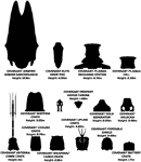 Covenant Cargo Scale.