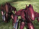 This image shows the color differentiation of the Sangheili Majors armor.