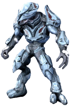 Elite Prime, Halo Alpha