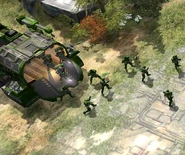 Burningcritters.jpg (50 KB)