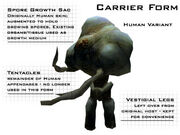 Carrier form Halo CE