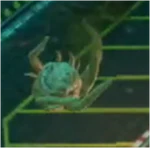 HWFDP.png (73 KB) The Flood Dispersal Pod in Halo Wars.