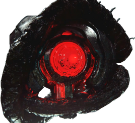 2401 Penitent Tangent Transp2