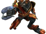 Elite Maggiori