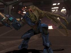 CombatForm.jpg