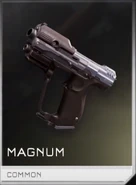 Tarjeta REQ Básica de la Magnum M6H2