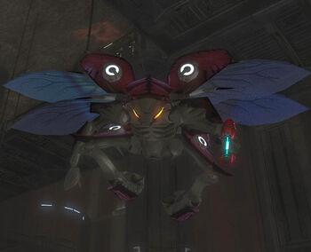Yanme e Major Halo Alpha BreezeWiki