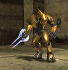 A Zealot as they apear in Halo 2.