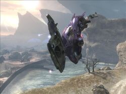 Reach 8103316 Medium
