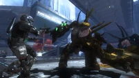 Buck fighting a Golden Hunter on Tayari Plaza.