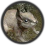Especies animales