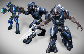 Halo-5-elites