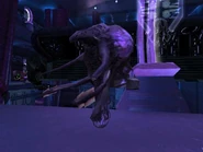 Huragok a bordo de una nave del Covenant en Halo: Combat Evolved