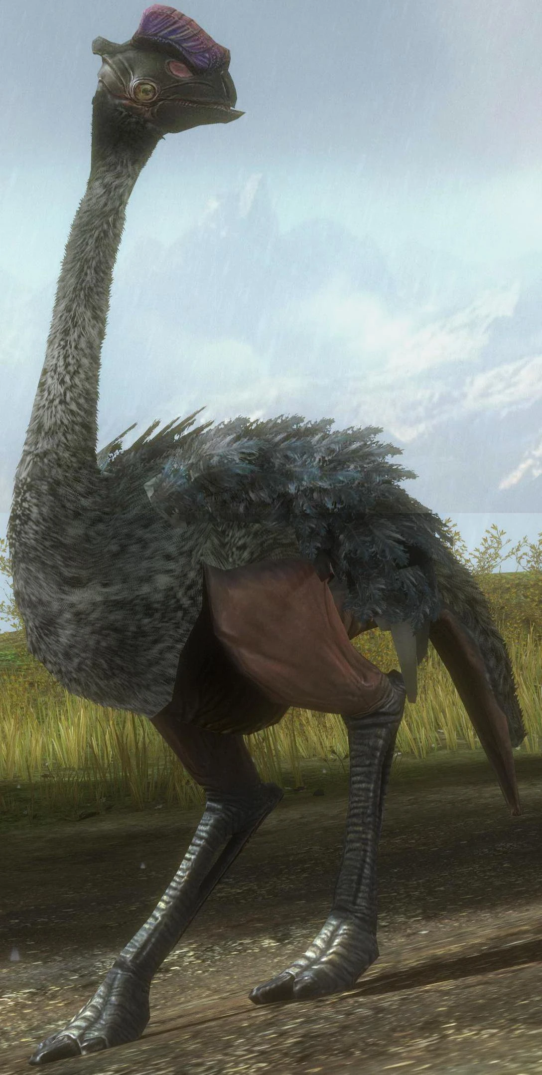 Moa Halopedia Fandom