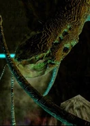 300px-Gravemindcapture 8.jpg (27 kB) Gravemind en Halo 2