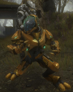 A BOB being assassinated on Winter Contingency