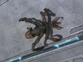 Flood Stalker Form | Halo Alpha | Fandom