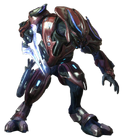 The Sangheili Zealot as it appears in Halo: Reach.