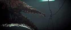 Thel 'Vadam frente al Gravemind