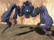 Ein Scarab von vorne.