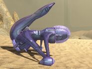 A Banshee on Sandtrap.