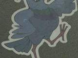 Pigeon Sticker on Streets