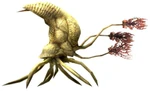 Flood infection form.1