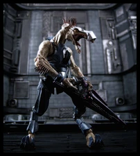 Cecchino Jackal