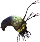 253850-flood infection form large